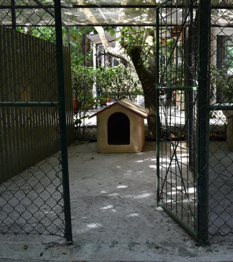 Cospea B&B Terni Zewnętrze zdjęcie